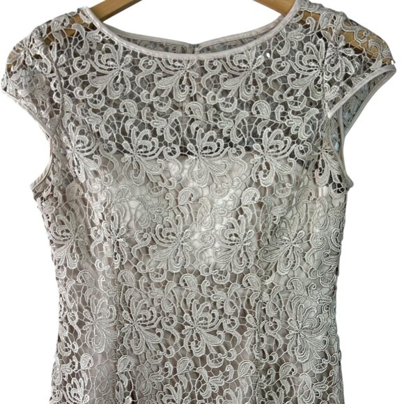 Adrianna Papell Champagne Lace Sheath Dress Size 6 Cocktail Evening Black Tie - Picture 3 of 6